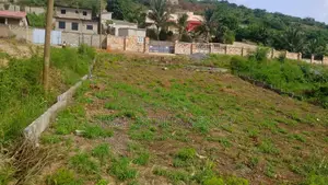 1 Plot of Land 4 Sale at Oyibi Adamorobe