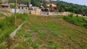 1 Plot of Land 4 Sale at Oyibi Adamorobe