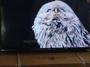 TCL 32-Inch Led Tv With Stunning Hd Resolution