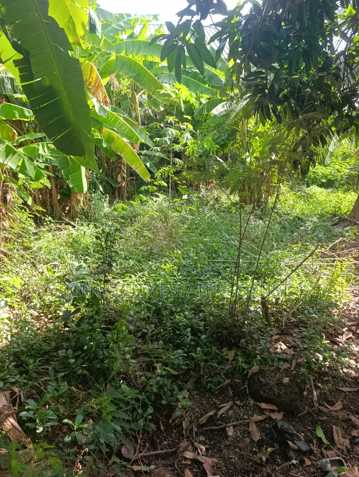 Genuine Land for Sale (Half)