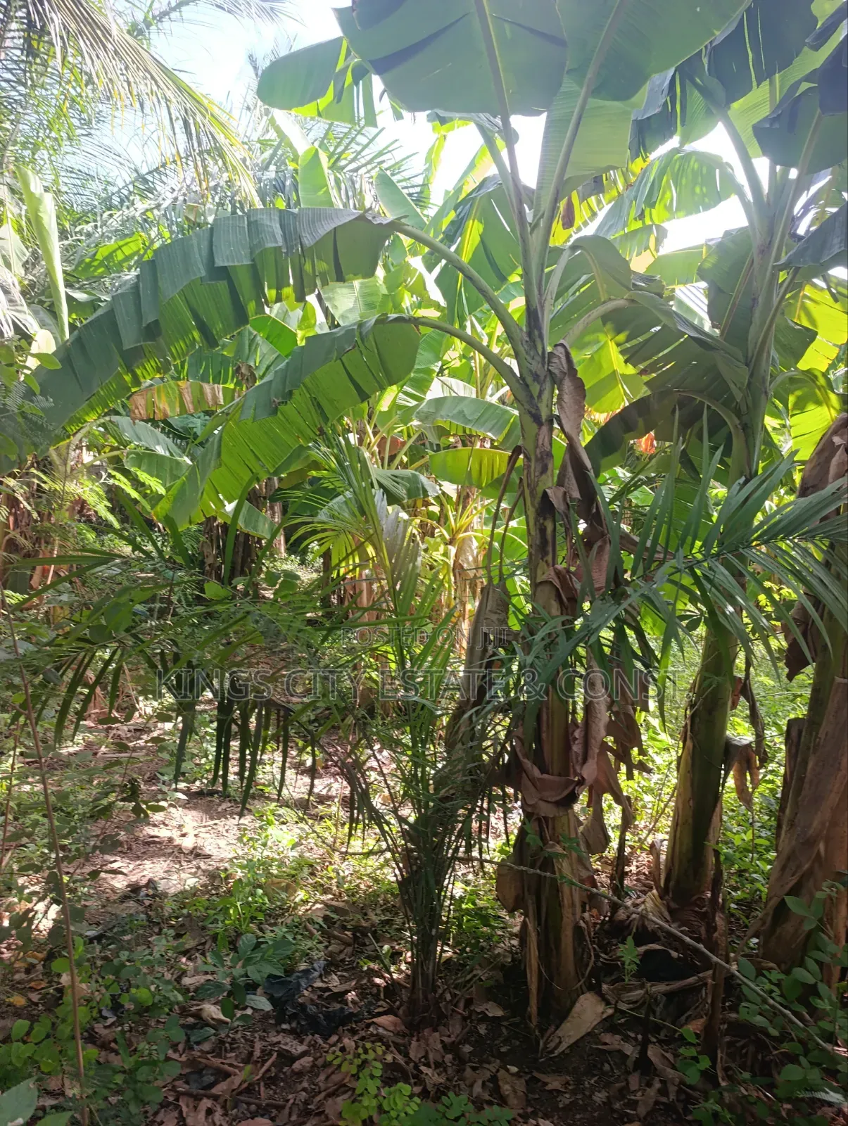 Genuine Land for Sale (Half)
