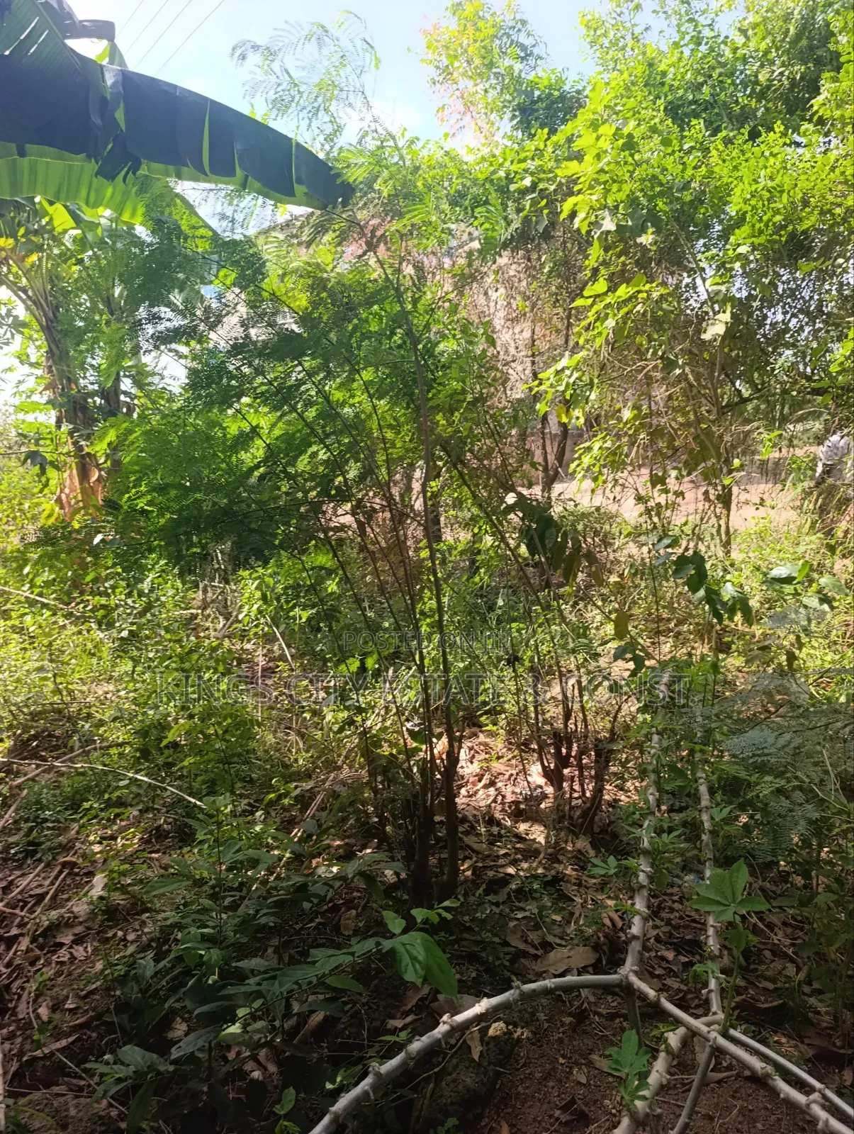 Genuine Land for Sale (Half)