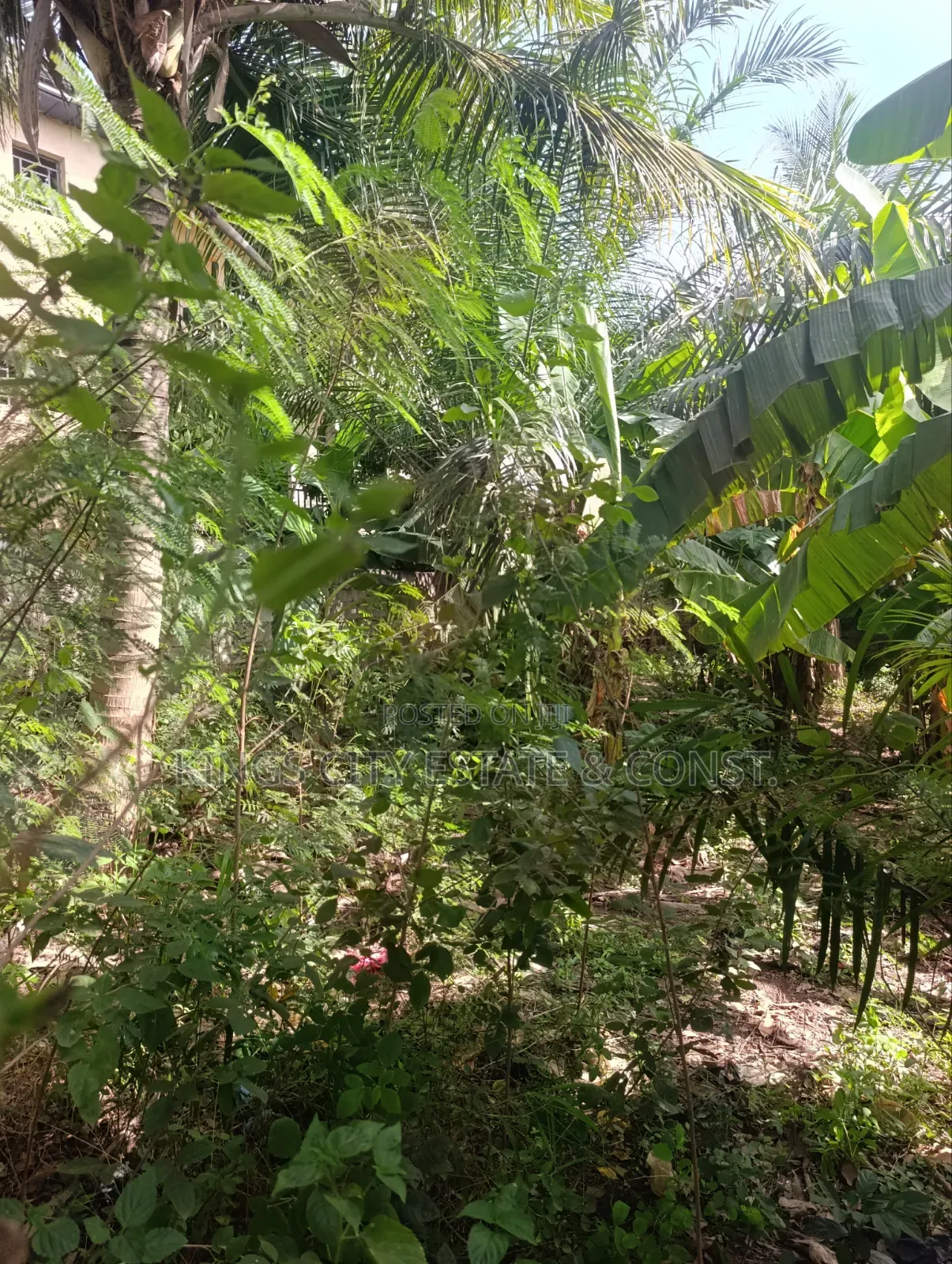 Genuine Land for Sale (Half)