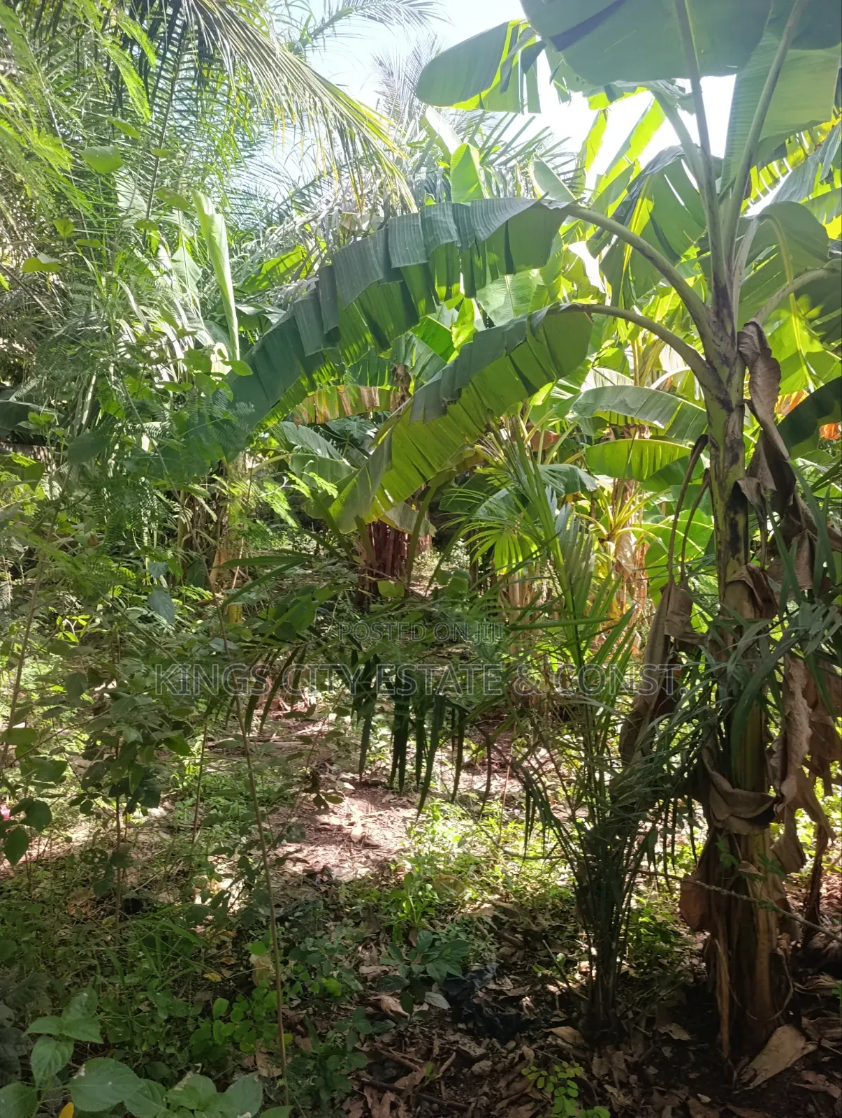 Genuine Land for Sale (Half)