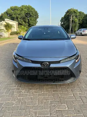 Toyota Corolla LE 2020 Gray