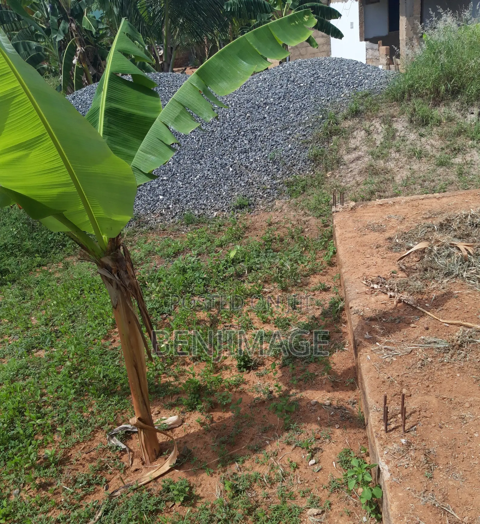 Land For Rent