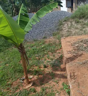 Land For Rent