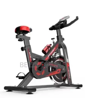 Indoor Spinning Exercise Bike