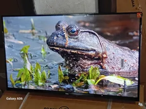 TCL 32” Flat Screen Tv – Reliable Everyday Entertainment