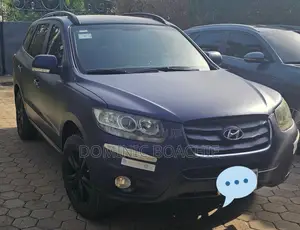Hyundai Santa Fe Limited 2010 Blue