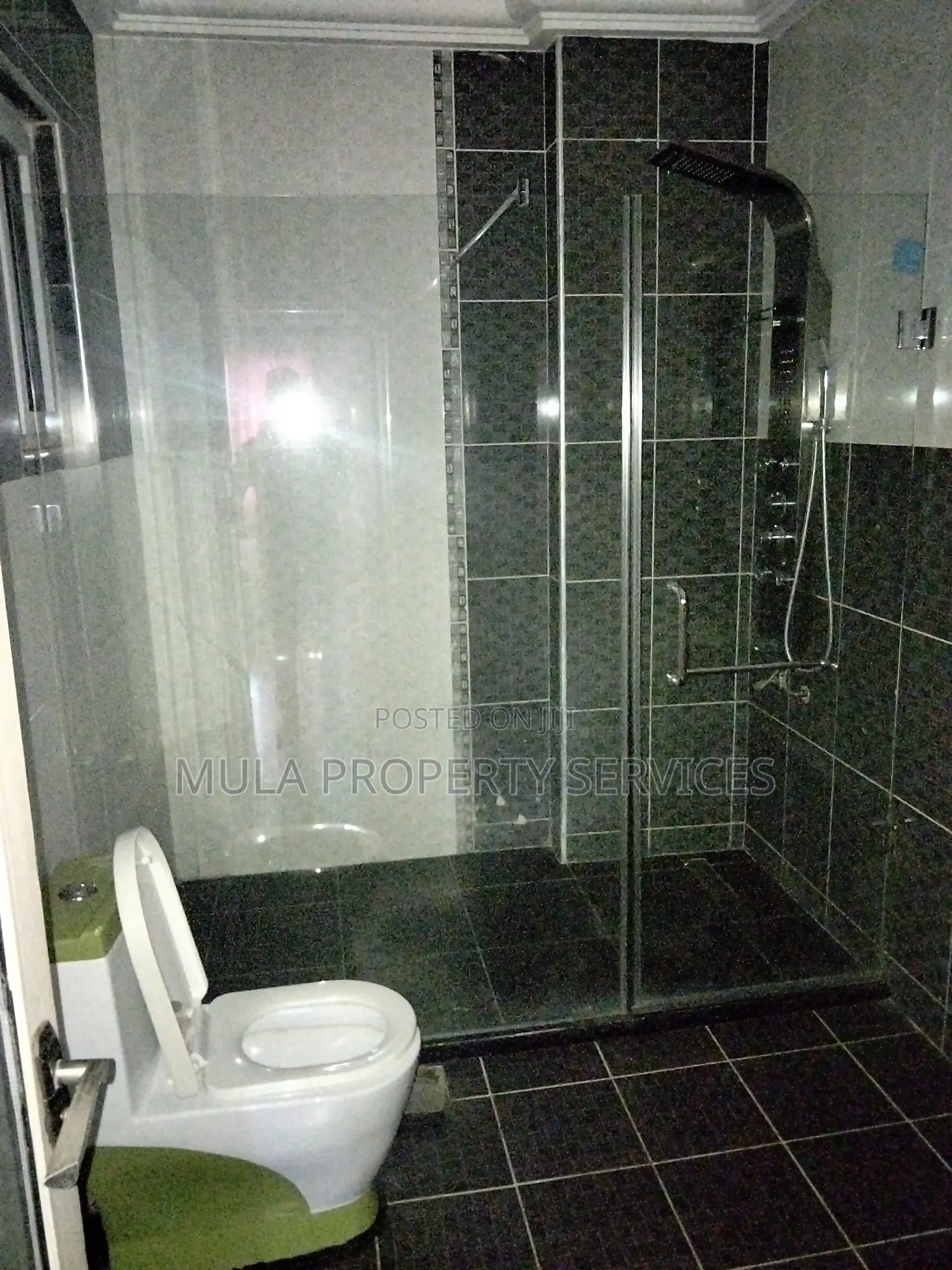Furnished 2bdrm Apartment in Mula Property, Dzorwulu for rent