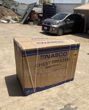 Choose Durable Nasco 1 Door Electric Chest Freezer(Nas400fl)