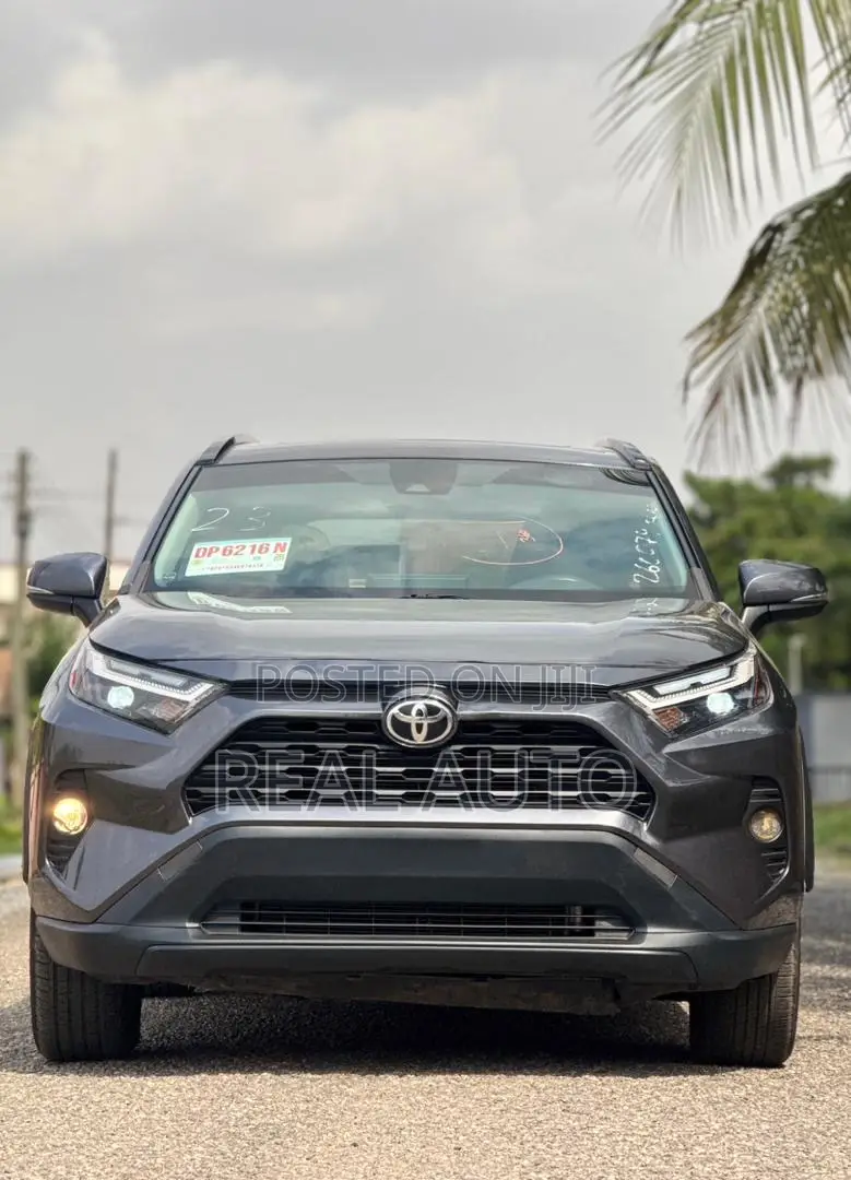 Toyota RAV4 XLE AWD 2023 Gray