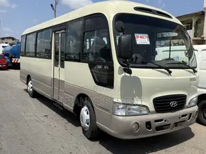 Hyundai County 2010 Beige