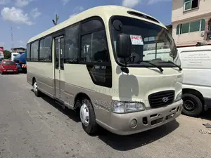 Hyundai County 2010 Beige