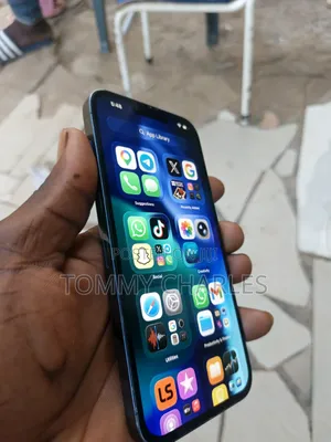 Apple iPhone 13 Pro Max 256 GB Green