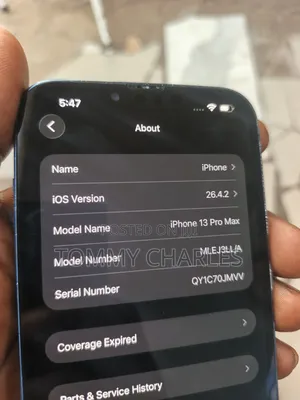 Apple iPhone 13 Pro Max 256 GB Green