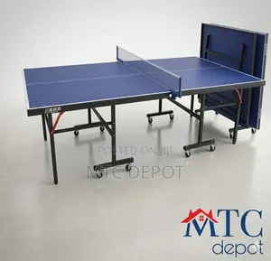 Single Folding Movable Tennis Table