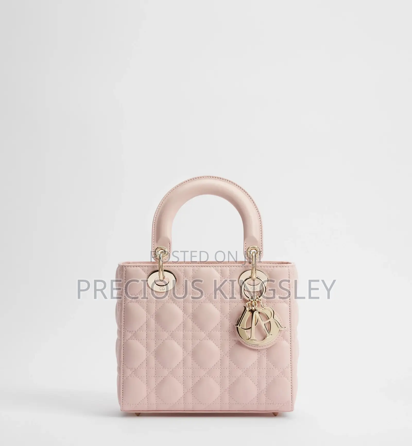 Mini Lady Dior Bags