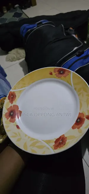 Ceramic Plates and Cups