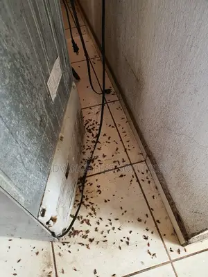T Advance Pest Solution