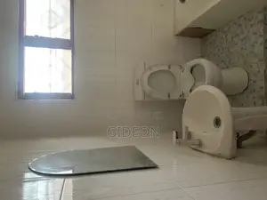 2bdrm Apartment in Delight Estate, Dzorwulu for rent
