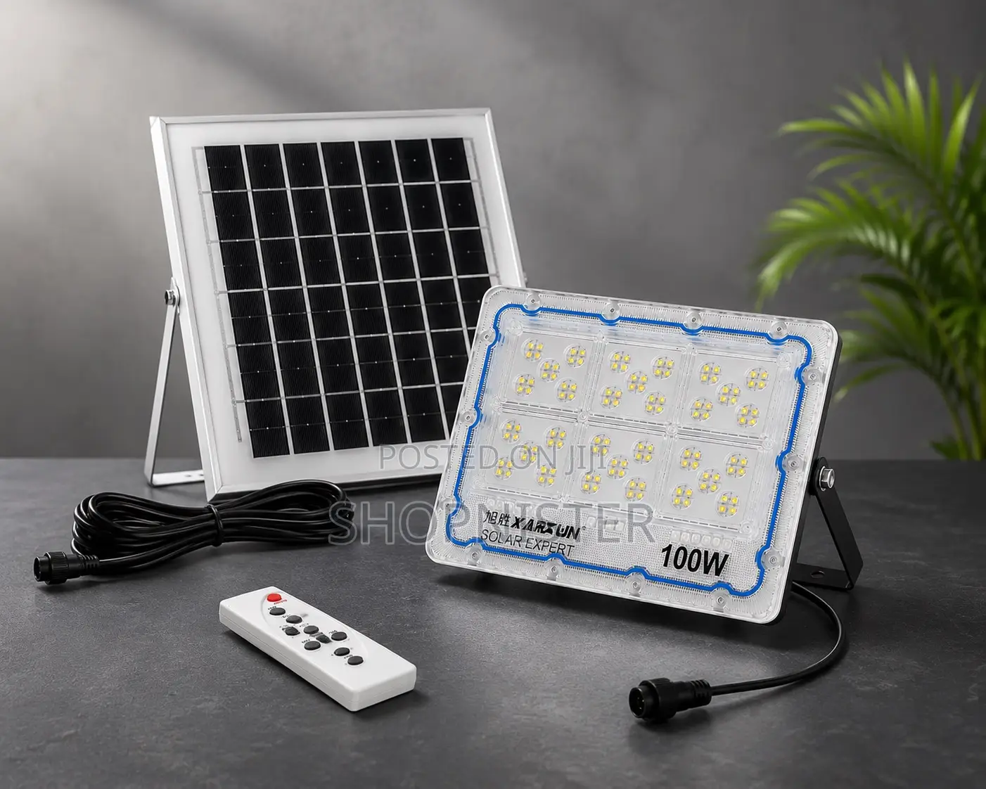 100w Solar Flood Light With Panel