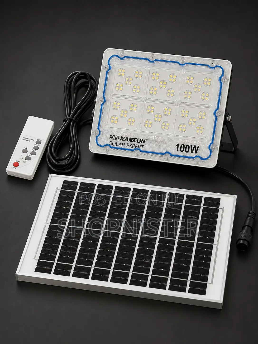 100w Solar Flood Light With Panel