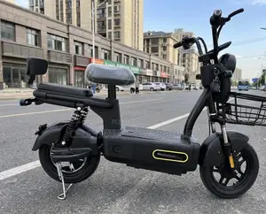 M2 Electric Commuter: Power Meets Utility