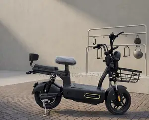 M2 Electric Commuter: Power Meets Utility
