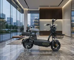 M2 Electric Commuter: Power Meets Utility