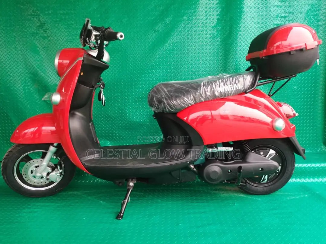 Power Up Your Journey: High-Performance Electric Scooter
