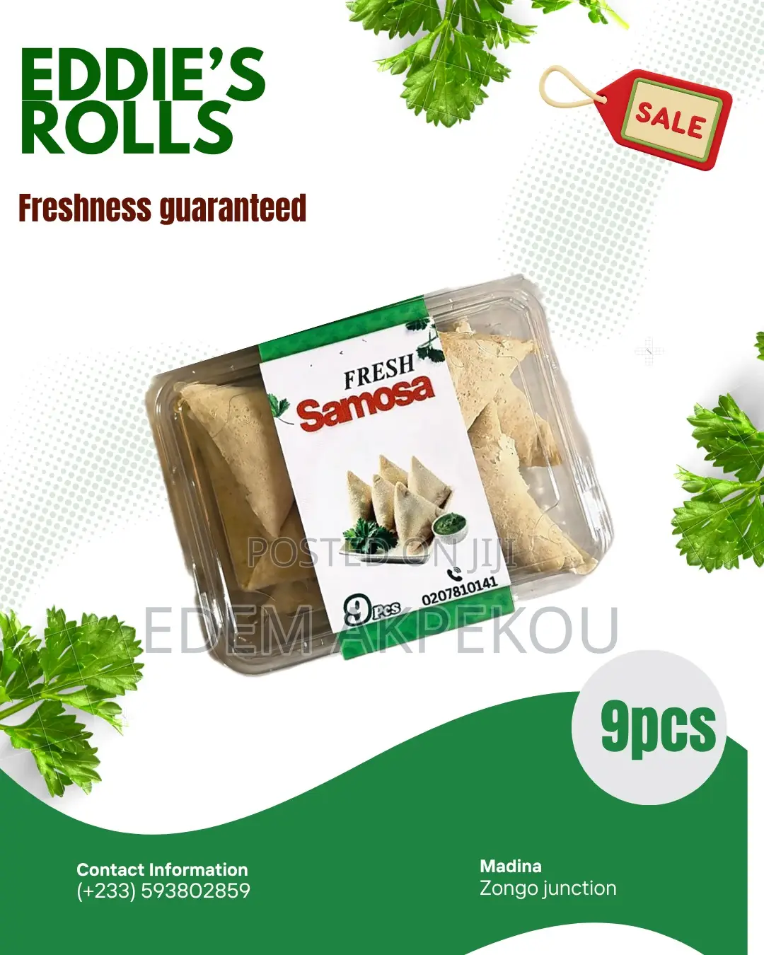 Spring Rolls and Samosas