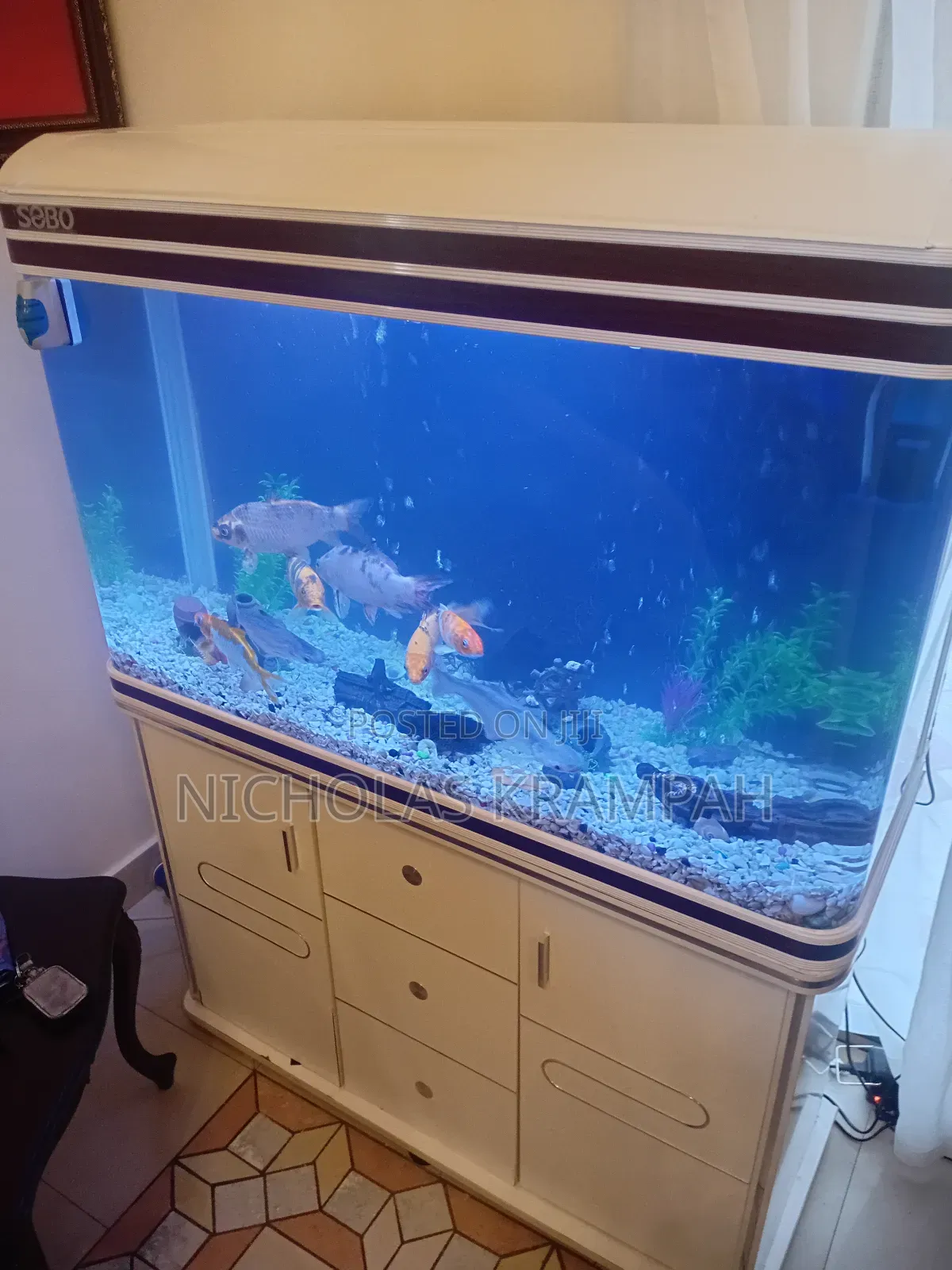 Aquarium Tank