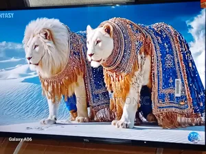 TCL 32” Led Entertainment Screen – Built for Everyday Viewing