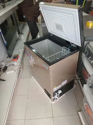 Freezer That Secures Profit Daily. Nasco 200l Freezes Luxury.