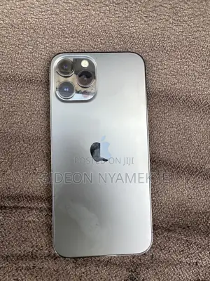 Apple iPhone 12 Pro Max 256 GB Silver