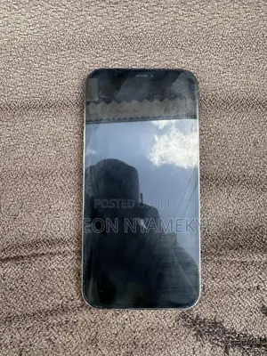 Apple iPhone 12 Pro Max 256 GB Silver