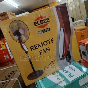 Magnificently Unique Remote Controlled Fan From Elbee