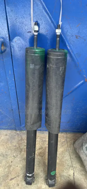 Nissan Sentra Back Shocks 2013-2019