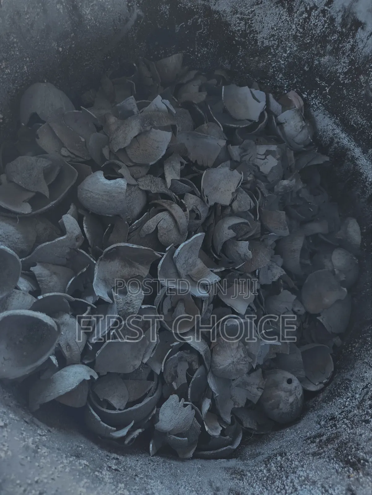 Coconut Shell Charcoal