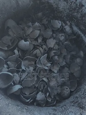 Coconut Shell Charcoal