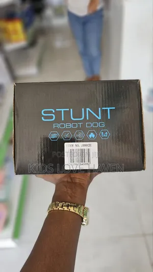 Robot Stunt Dog for Kids