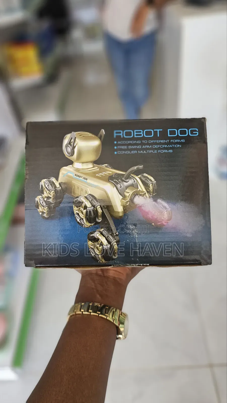 Robot Stunt Dog for Kids