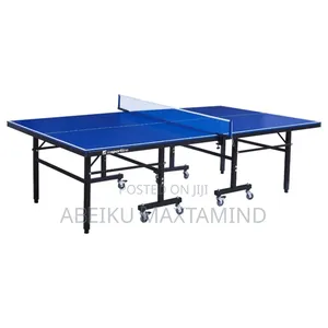 Professional Table Tennis Board