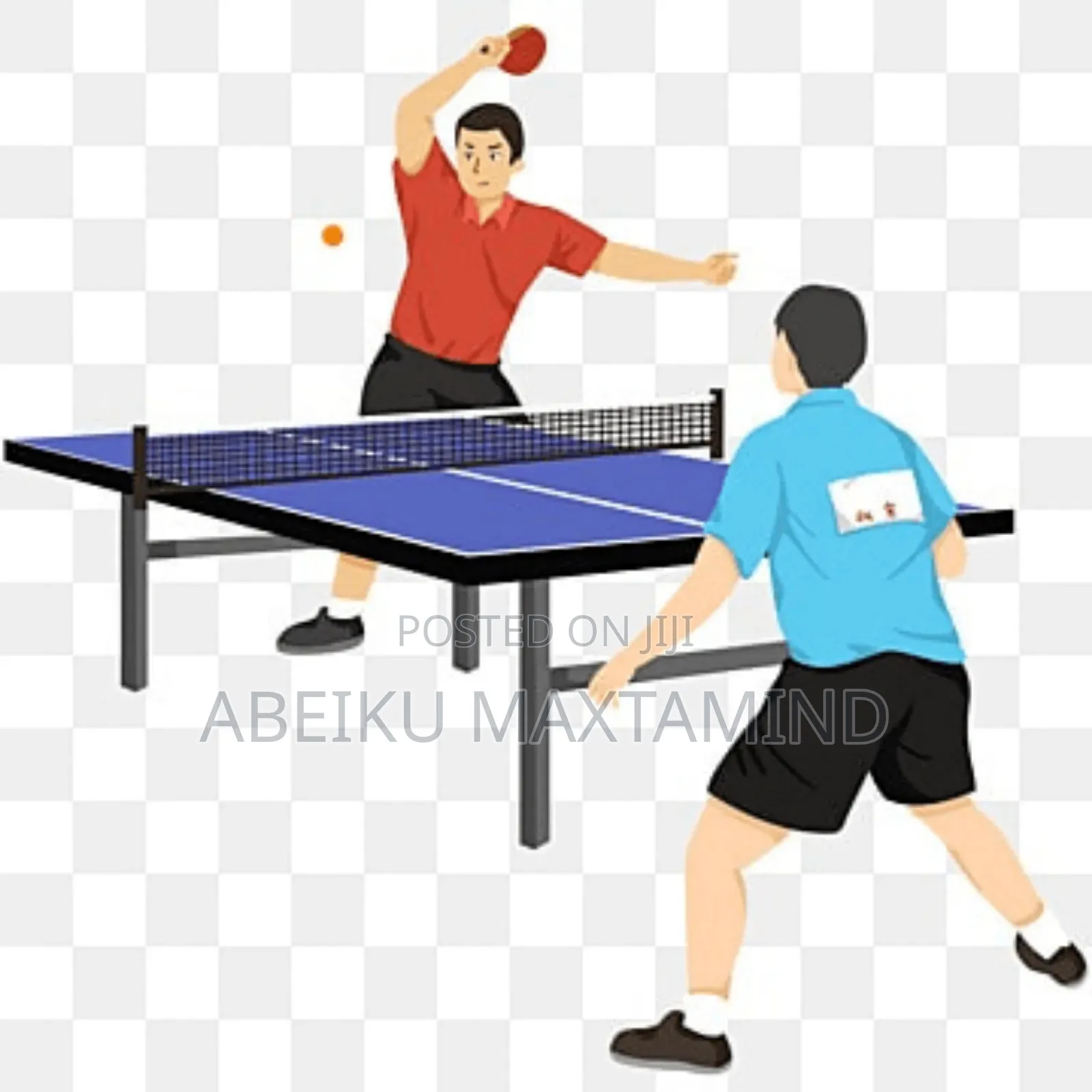 Professional Table Tennis Board