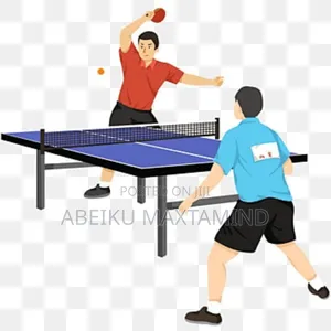 Professional Table Tennis Board