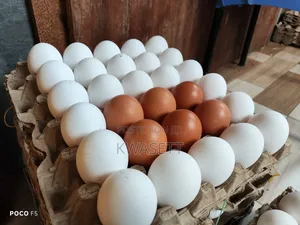 Farm Fresh Eggs