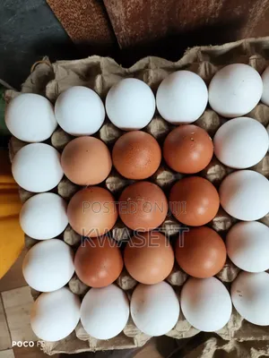 Farm Fresh Eggs