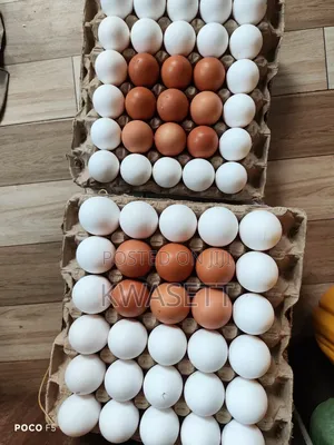 Farm Fresh Eggs